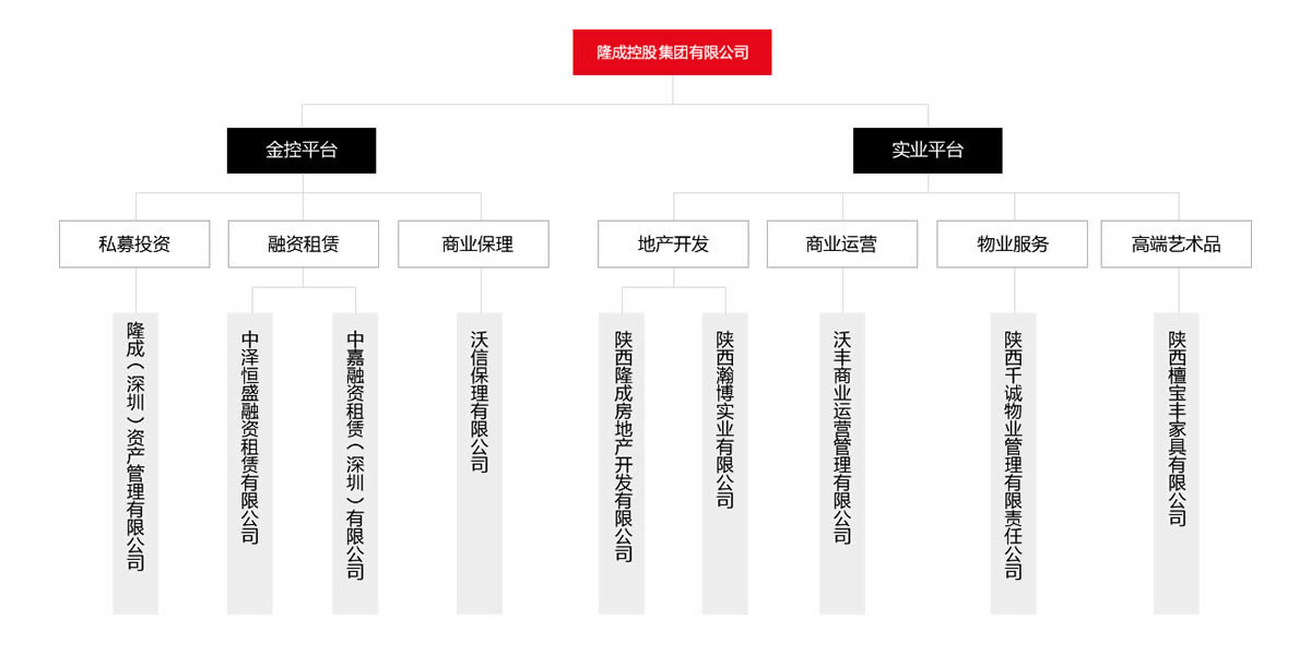 匯高OA系統(tǒng)陜西區(qū)為隆成控股集團公司進行管理升級！